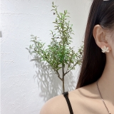 S925银针韩国新款质感创意枫叶满钻不对称精致耳钉耳环女
