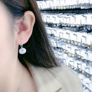 【真金电镀】韩国圆形锆石高级感轻奢小众气质网红耳钩耳饰